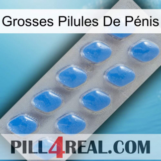 Grosses Pilules De Pénis 22